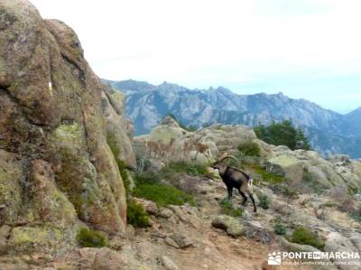 Sur Maliciosa - El Peñotillo; fin de semana;senderismo con imaginación; rutas montaña